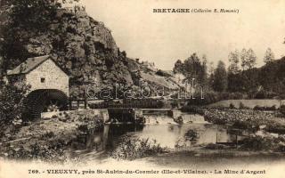 Vieux-Vy-sur-Couesnon, Vieuxvy; Saint-Aubin-du-Cormier, Mine dArgent / silver mine (fl)