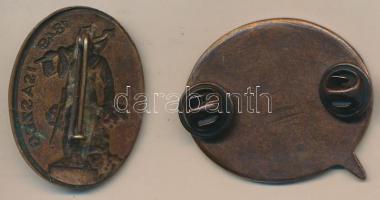 2013. "XXV. Tavaszi Emlékhadjárat - XVI. Felvidéki Hadjárat - 1849-1989-2013" Br jelvény (...