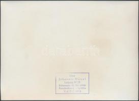 cca 1960 Johannes Hanel fotó: Vízilabda válogatott, jelzett, 13x18cm