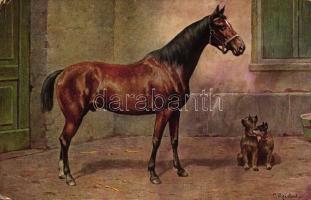 Trackehner und Pinscher / Horse, dogs s: Carl Reichert (fl)