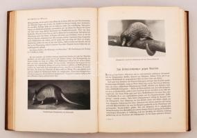 Das Reich der Tiere. Szerk.: Berger, Arthur; Schmid, Josef. 1-3. köt. Berlin, 1937, Ullstein. Biai-F...