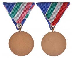 1965. "Árvízvédelemért Érem" patinázott Br kitüntetés mellszalaggal eredeti tokban (2x) T:...