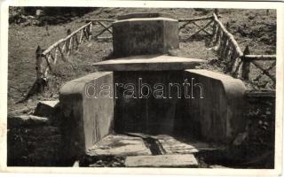 Radnaborberek, Széchenyi forrás / spring