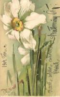 Flower, litho s: C. Klein
