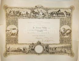 Nagyalakú dekoratív oklevél 50x70cm