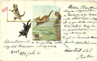 1899 Cats on a boat, litho (worn edges)