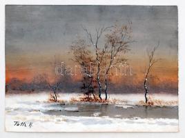Tóth jelzéssel: Téli táj tóval, olaj, papír, 13×17,5 cm