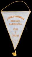 "L" Vitorlás hajómodellek országos bajnoksága 1963, I. csapat, felakasztható háromszögű vá...