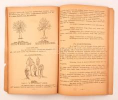 Dr. Tomasovszky Imre: Erdészettan 72 képpel. Kézirat gyanánt. Bp., 1940. Magyar Élet. 127p