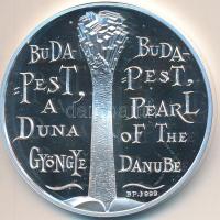 Lebó Ferenc (1960-) 2003. "Budapest a Duna gyöngye / Az MKB köszönti a 125 éves fővárost" Ag emlékérem eredeti dísztokban (31,25g/0.999/42,5mm) T:PP