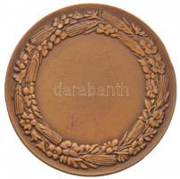 Berán Lajos (1882-1943) 1933. "TESZ-Nemzeti Munkahét" aranyozott Br emlékérem (61mm) T:2