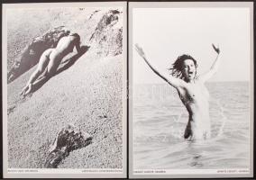 1984 Akt-mappa 1984. Vál. Győri Lajos. Bp., Ofotért. Számos aktkép papír mappában