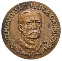 Lantos Györgyi (1953-) 1994. "IV. Üzemgazdasági Napok Gyöngyös '94 - Hensch Árpád" Br emlékérem (79mm) T:2