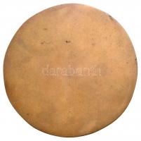 1972. "Bányakár Konferencia Balatonfüred" Br érem (83mm) T:2