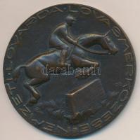 1943. "Nemzeti Lovarda Lovasmérkőzése" Br emlékérem "Marosvásárhelyi Lovasmérkőzés emlékére vitéz Veress Zoltán ezredes úrnak 1943. jul. 3-4." gravírozással (68,5mm) T:2-