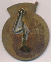 1956. "Mohácssziget ifjú építője" zománcozott jelvény T:2