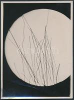1930 Kinszki Imre (1901-1945): Műszál, 15x mikrofotó, 9x6,5 cm