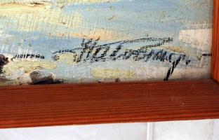 Hatvany jelzéssel: Ráckevei Dunapart. Olaj, farost, keretben, 40×60 cm