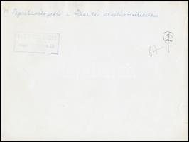 cca 1960 Szeged, paprikaválogatás a Haladás Termelőszövetkezetben, feliratozott fotó, 18x24 cm