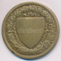 Berán Lajos (1882-1943) ~1930. "Budapesti (Budai) Torna Egylet 1869. - Kinizsy" Br díjérem...