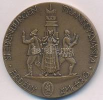 Kiss Nagy András (1930-) 1973. "Magyar Nemzetért / Erdély" Br emlékérem (42,5mm) T:1- apró...