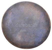 Reményi József (1887-1977) 1966. "Robert Schumann" jelzetlen Br plakett (77mm) T:2-