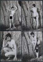 cca 1980 Nádszál kisasszony kis kalandja a Velencei-tónál, 13 db korabeli negatívról készült modern nagyítás, finoman erotikus képek, 13x9 cm / cca 1980 13 erotic photos, 13x9 cm