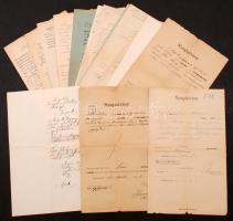 cca 1890 Vegyes, temesvári kötődésű okmányok: nyugták, adásvételi szerződés, szerződési határozatok, stb.