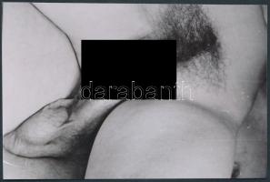 cca 1960 Pornó képek, 5 db fotó, 9x13 cm /
cca 1960 5 porn photos, 9x13 cm