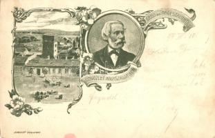 1899 Nagyszalonta, Arany János; floral, Kosmos (Rb)