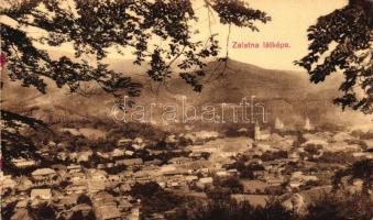 Zalatna, Látkép / view (fa)