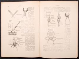 1916 október, A tenger. Tengerészeti és tudományos, közgazdasági és társadalmi képes havi folyóirat....