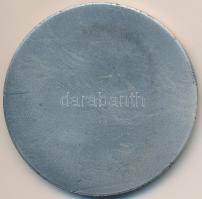 Garamkeszi János (1936-) DN "Ybl Miklós Építőipari Műszaki Főiskola" ezüstözött Br emlékér...