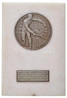 1936. "Magyar Országos Lawn Tennis Szövetség 1907-1932 - Herzum János úrnak a Pestvidéki Kerület elnökének 10 éves fáradhatatlan munkásságának emlékére 1926-1936" fém érem márványlapon, "LUDVIG" gyártói jelzéssel T:2