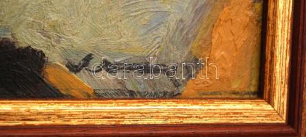 Olvashatatlan jelzéssel: Virágcsendélet. Olaj, farost, újszerű kerettel, 38×28 cm