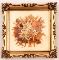 Havasi gyopár levelek, üvegezett keretben, 8×8 cm