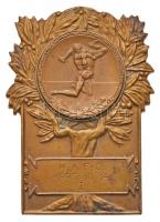 1925. M.A.F.C. (Műegyetemi Atlétikai és Football Club) 1925.10.14. I. Br birkózó díj plakett (86x61mm) T:2 Hungary 1925. M.A.F.C. (Athletic and Football Club of University of Technology) 1925.10.14. I. Br wrestler award plaque (86x61mm) C:XF