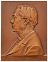 Franciaország 1908. "Emile Levasseur" Br emlékplakett. Szign.: Jules-Clément Chaplain (70x54mm) T:2 France 1908. "Emile Levasseur / 1828-1868 A EMILE LEVASSEUR ÉCONOMISTE, HISTORIEN, STATISCTICIEN, GÉOGRAPHE, MEMBRE DE L'INSTITUT, SES CONFRÉRES SES COLLÉGUES SES DISCIPLES, SES AMIS SES ADMIRATEURS 1908 - JUSTUM ET TENACEM PROPOSITI VIRUM" Br commemorative plaque. Sign.: Jules Clément Chaplain (70x54mm) C:XF