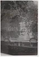 cca 1940 Budapesti szobrokról készült negatívok, 8 db felvétel, 3x6 cm és 9x6 cm közötti méretekben