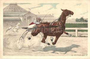 Carriage driving race, horse, Mary Mill Nr. 1177. s: Kührner