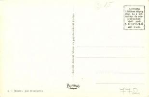 Mindszent, átkelés a kompon, Pallavicini tér, üzlet; Horváth Antalné könyv- és papírkereskedő kiadás...