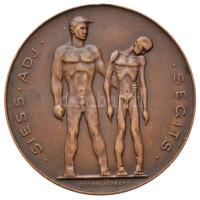 Loósz József (1908-) 1947. "SAS - Siess-Adj-Segíts / Hadifoglyokért, kórházakért, tüdőbetegekért" Br emlékérem (40mm) T:2 Hungary 1947. "SAS - Hurry-Give-Help / For Prisoners, Hospitals, Consumptives" Br emlékérem. Sign.: József Loósz (40mm) C:XF