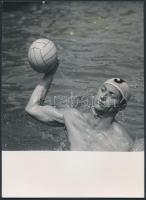 1968 Kovács Gyula, Magyar Távirati iroda fotó: Mayer Mihály vízilabdázó, jelzett fotó, 13x13cm