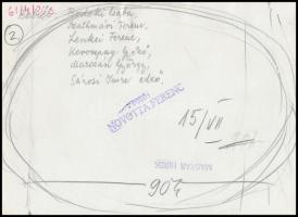 1961  Novotta Ferenc: Sárosi Imre edző fiatal úszócsapatával (Bodoki Csaba, Szathmári ferenc, Lenkei...