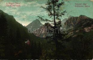 Tátra, Tarpataki-völgy / valley (EB)