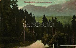 Tátraszéplak, Tatranska Polianka; Dr. Ottó-csúcs és Szekrényes / mountains (fl)