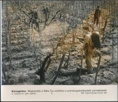 cca 1960-1980 Különféle szakszervezeti események, rekreációs programok, 5 db MTI fotó, különböző mér...