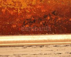 Czinege Zsolt (1967-): Megpihenés. Olaj, vászon, jelzett, keretben, 27×32 cm