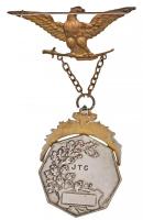 ~1930. "JTC" jelzett Ag díjérem fém sassal (40x53mm) T:2,2-