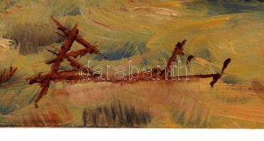 Brezice, Rann a. d. Save; Strassenpartie, Deutschen Heim / street, German house, Hotel (fa)